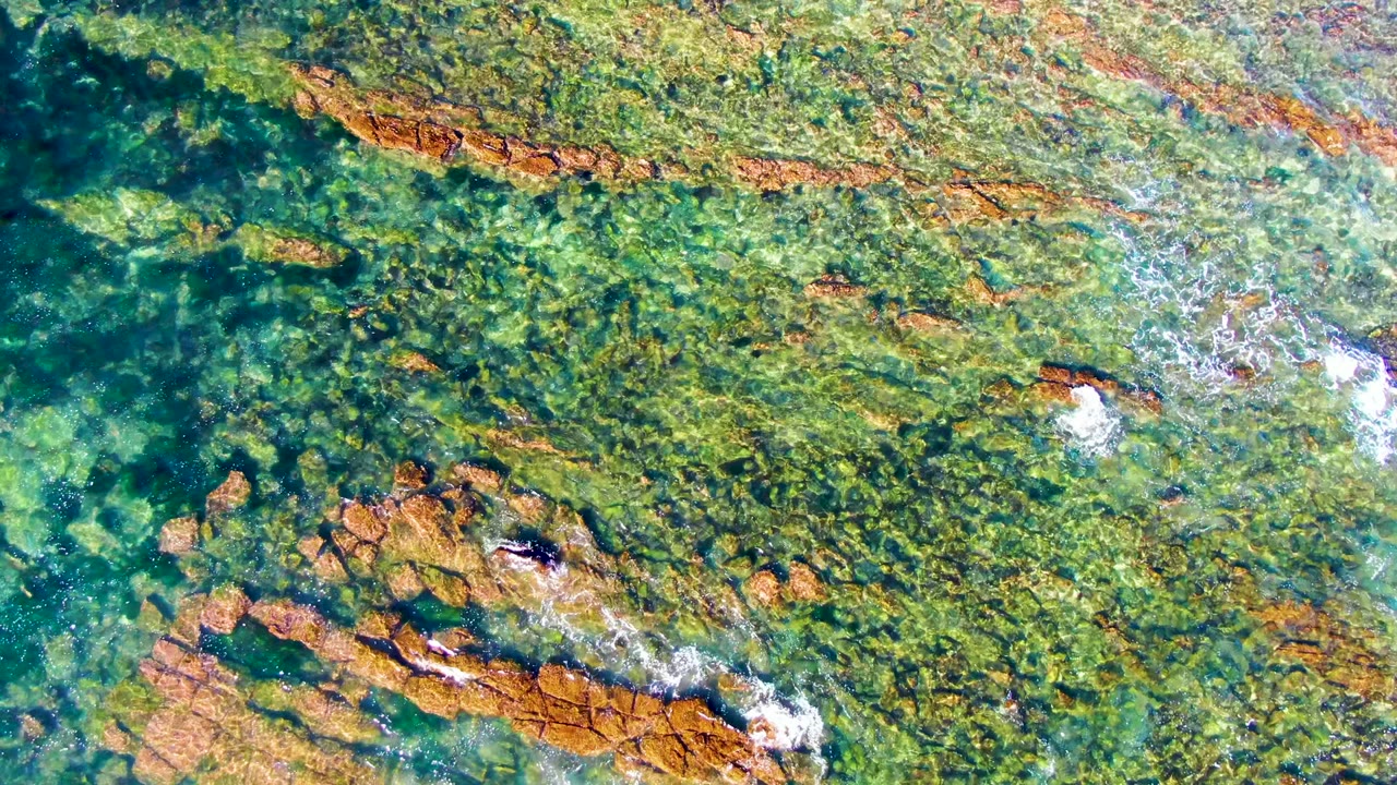 Small fish over green-blue shallow water and rocks