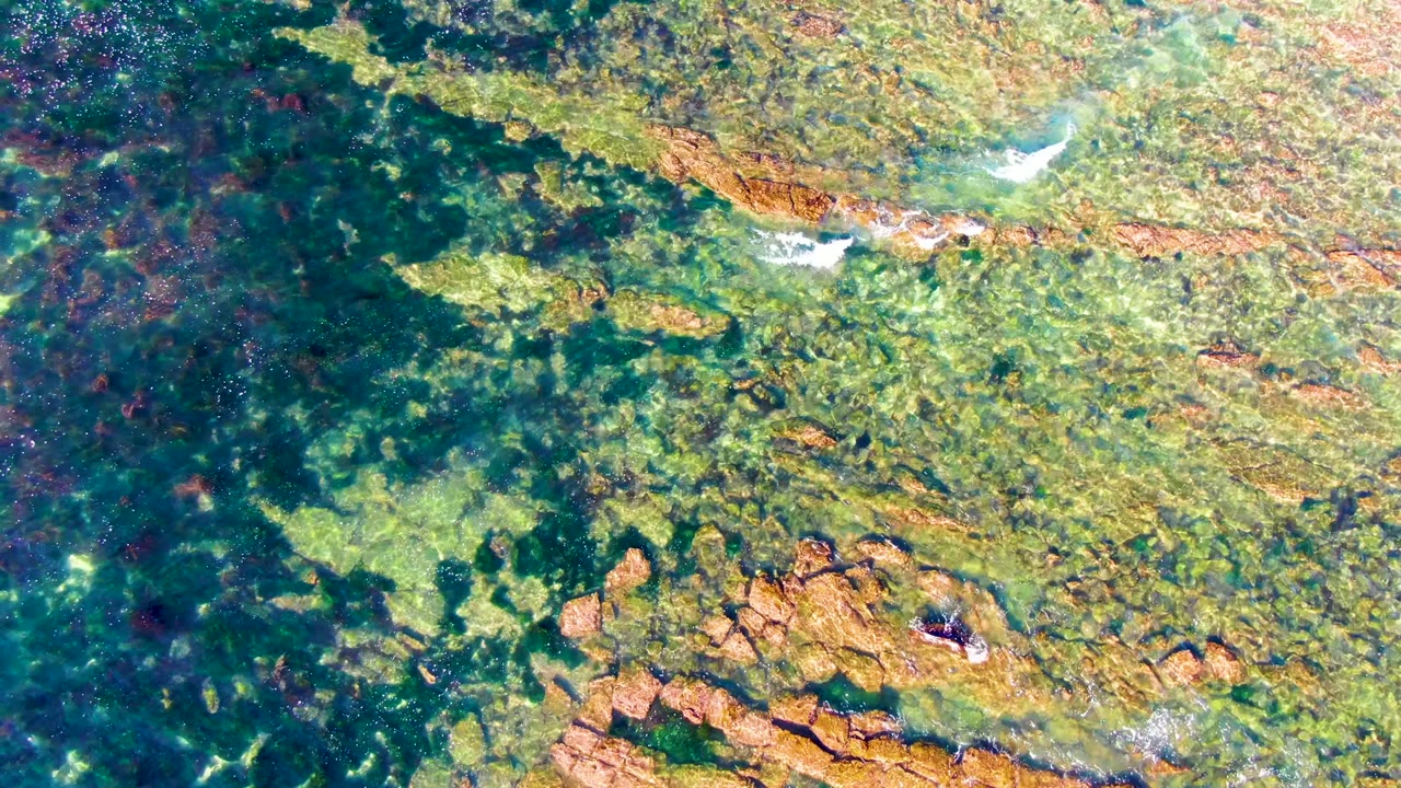 Overhead view through clear water in La Bocana, Baja California Sur, showing dark seaweed patches, orange-brown rocks, and no visible people at the opening frame.