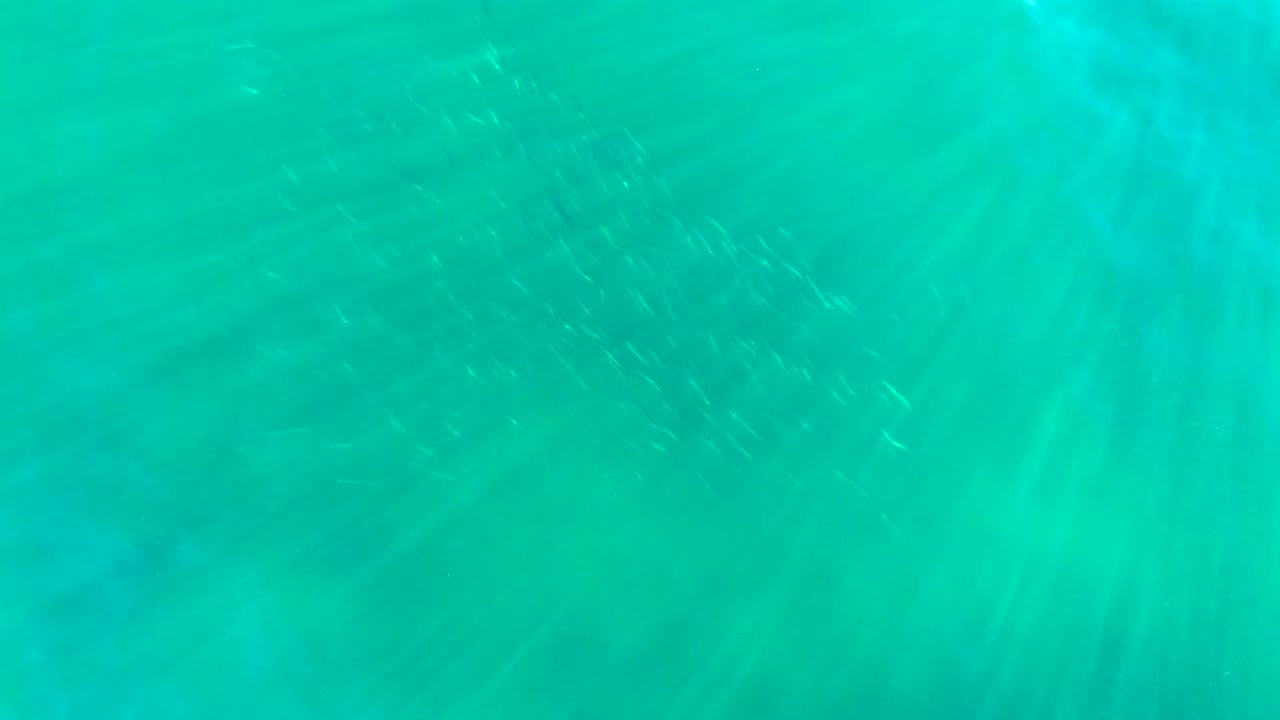 Turquoise ocean water near La Bocana, Baja California Sur shows faint small fish shapes under soft dappled light, with no visible people.