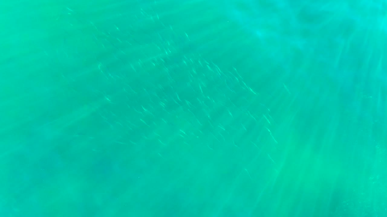 Clear blue-green water with a faint school of small fish near the left side.