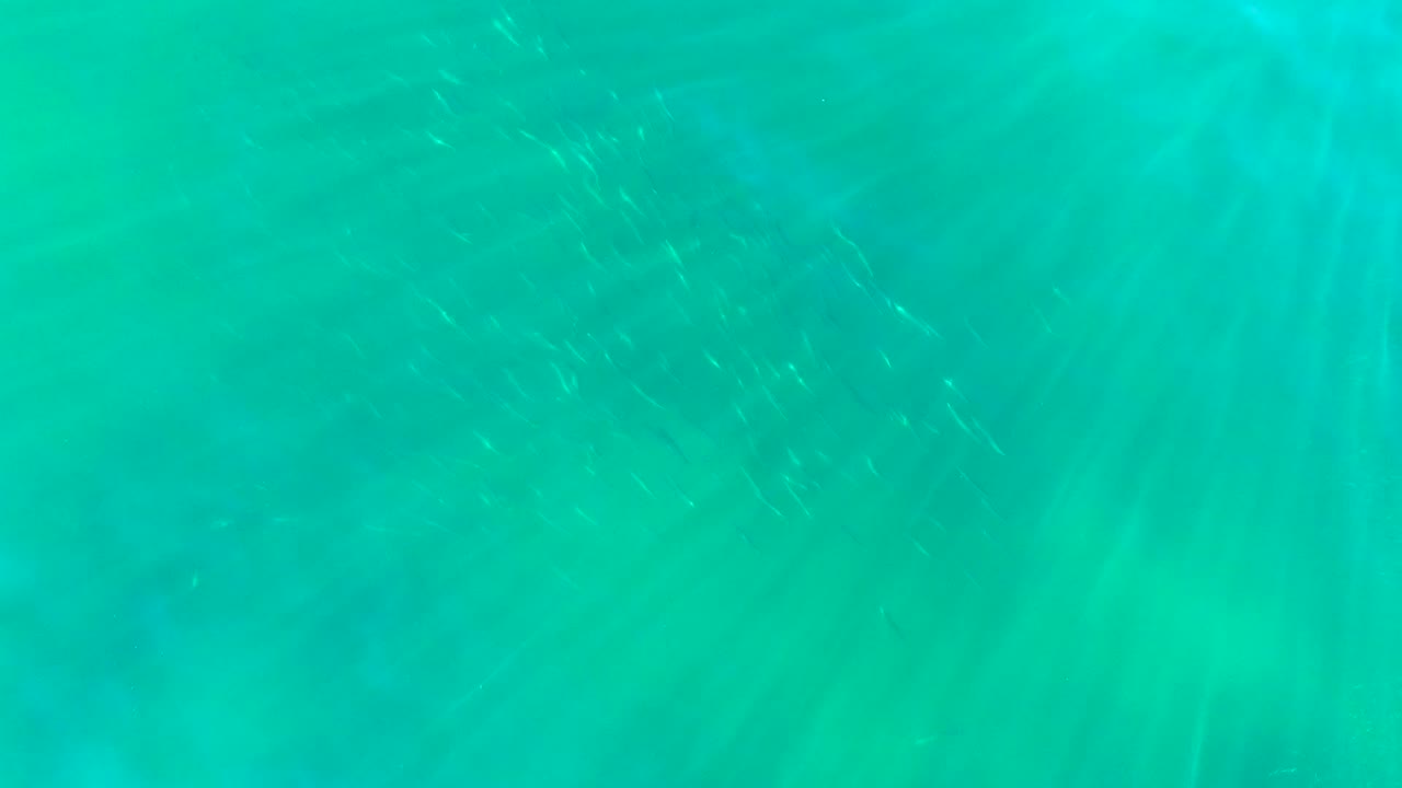 Turquoise ocean water near La Bocana, Baja California Sur shows scattered silvery fish streaks beneath the surface, with no visible people.
