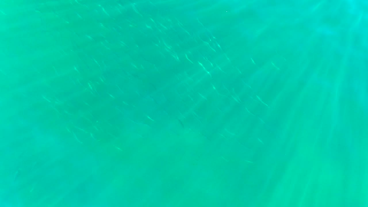 Turquoise coastal water in La Bocana, Baja California Sur, with faint small silvery fish under soft surface light and no visible people.