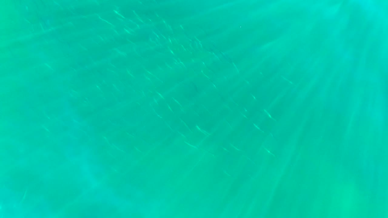 Small fish move through clear turquoise water.