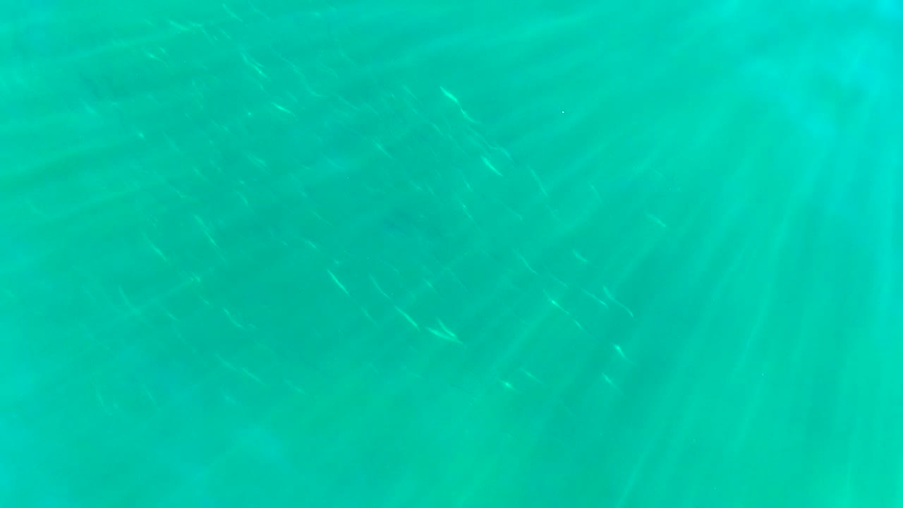 Dappled turquoise water in La Bocana, Baja California Sur, with small silvery fish faintly visible below a bright surface band and no visible people.
