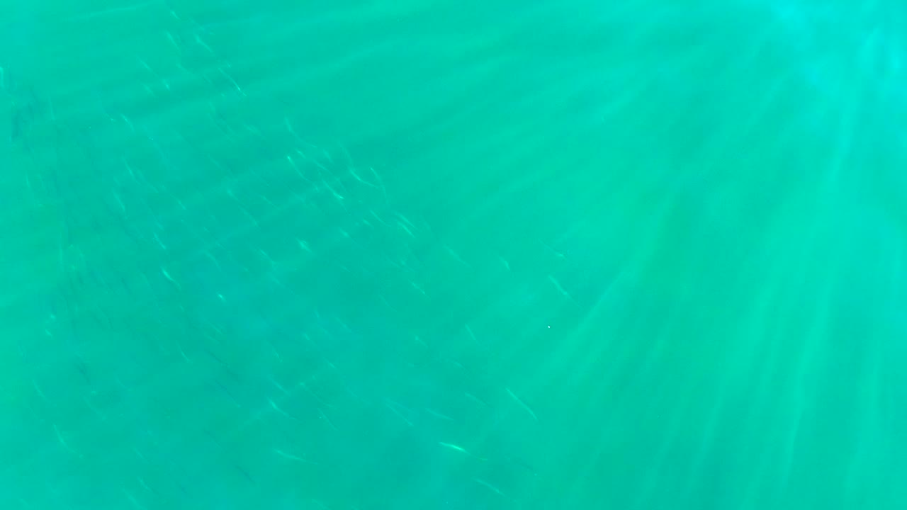 Opening frame of clear turquoise water in La Bocana, Baja California Sur, with faint small fish and soft sunlit streaks, no visible people.