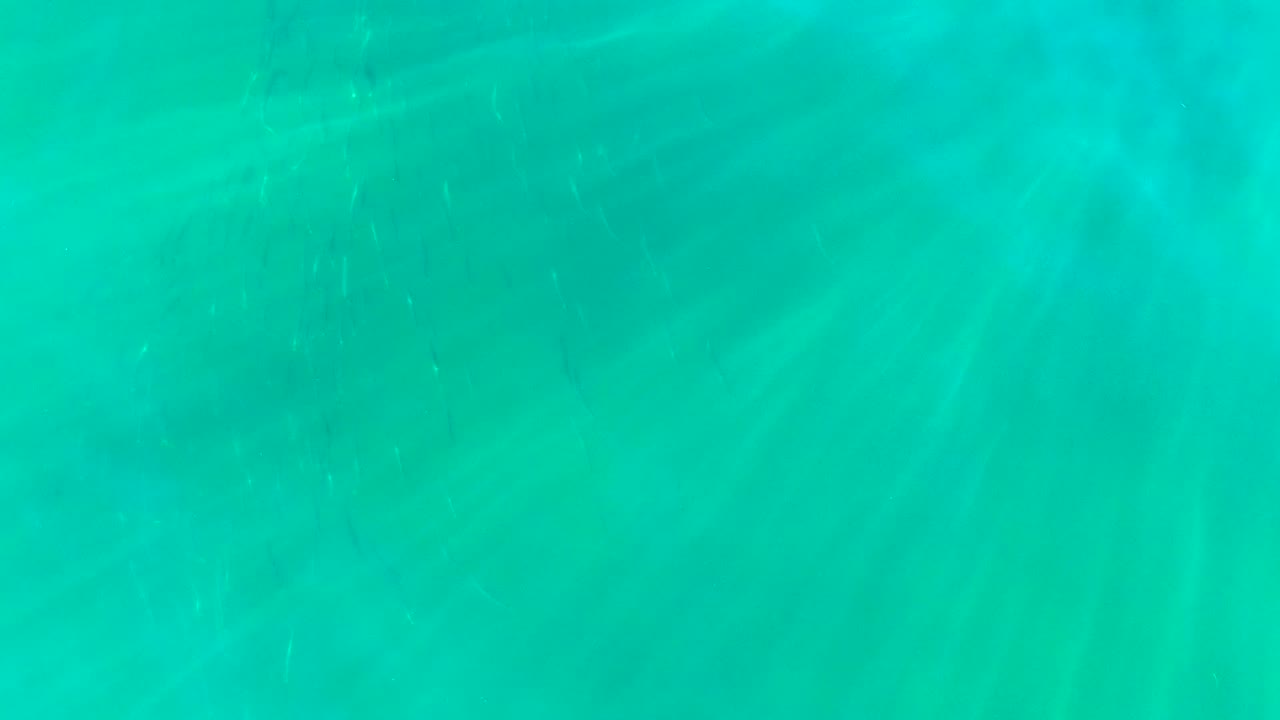 At 0:02, soft refracted lines drift across the turquoise water, with the frame remaining free of people, objects, and shoreline.