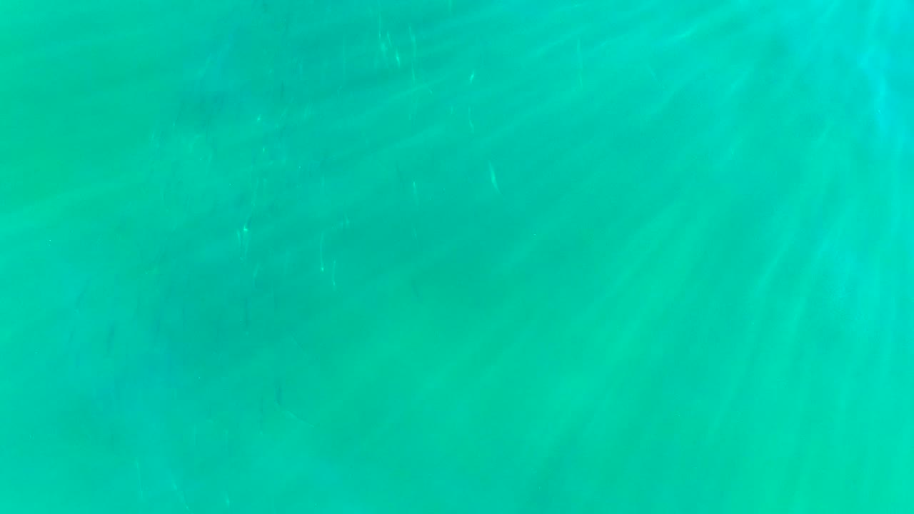Turquoise underwater view in La Bocana, Baja California Sur, with faint sandy seabed texture and no visible people.