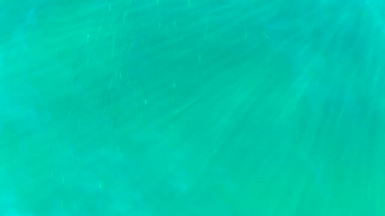 Clear shallow water with dappled light patterns