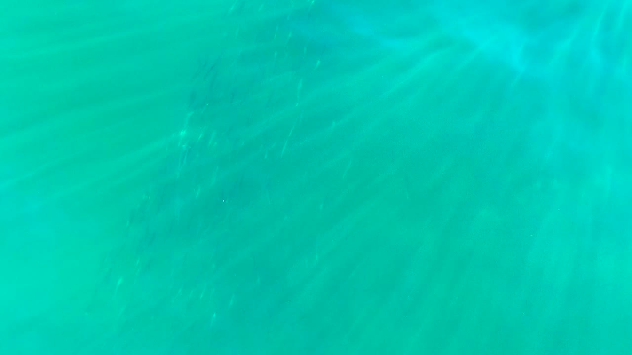 Clear turquoise water in La Bocana, Baja California Sur, with faint small fish near the upper frame and no visible people.