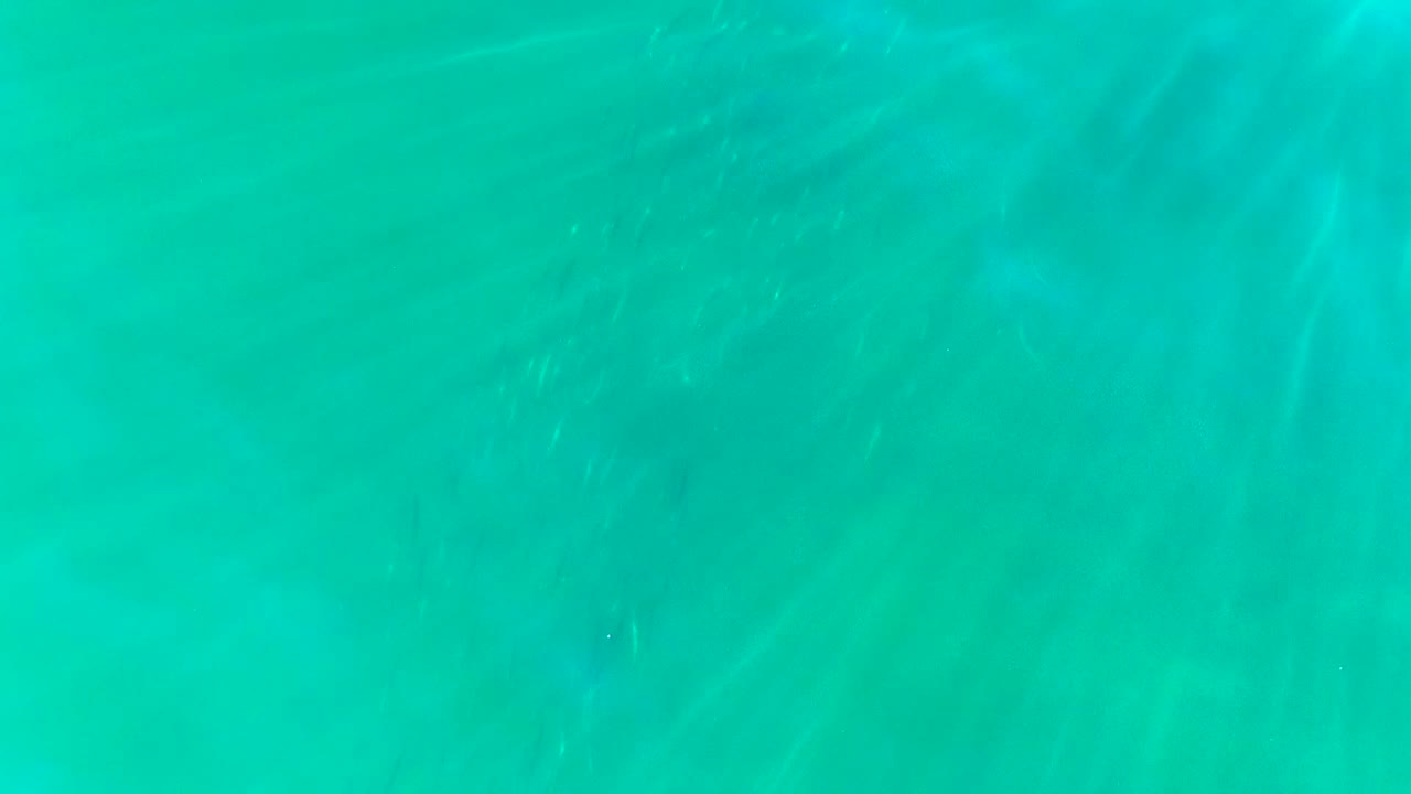 Clear turquoise water surface in La Bocana, Baja California Sur, with faint ripples and pale light refraction, no visible people.
