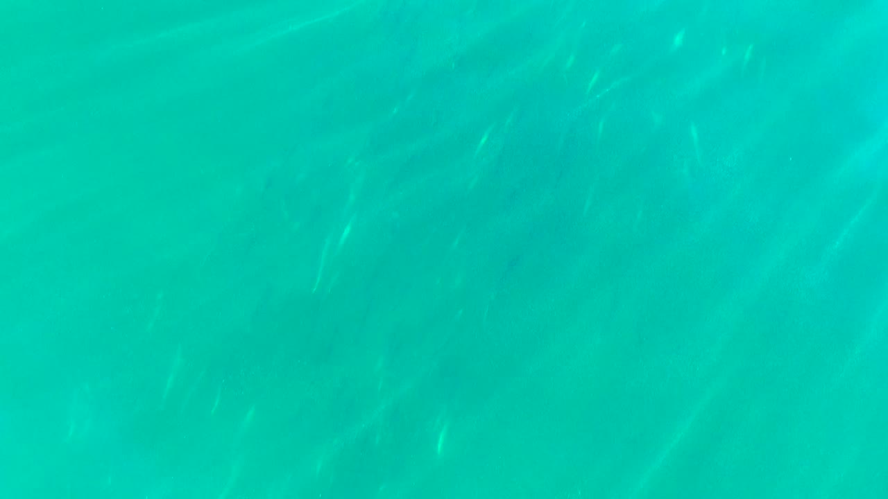Overhead view of turquoise ocean water in La Bocana, Baja California Sur, with faint sunlight streaks and no visible people.