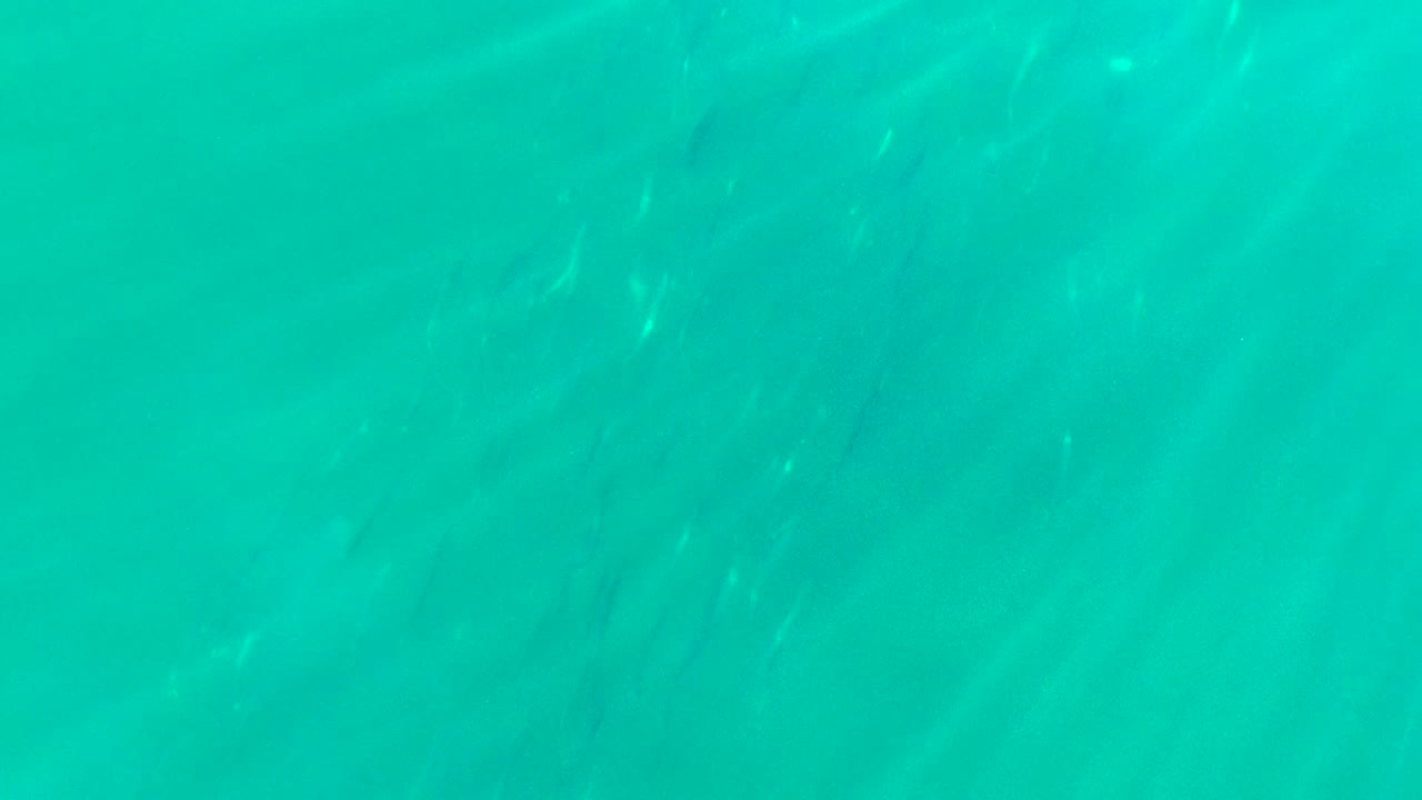 Turquoise sea surface in La Bocana with fine ripple lines, scattered pale highlights, and no visible people or shoreline.