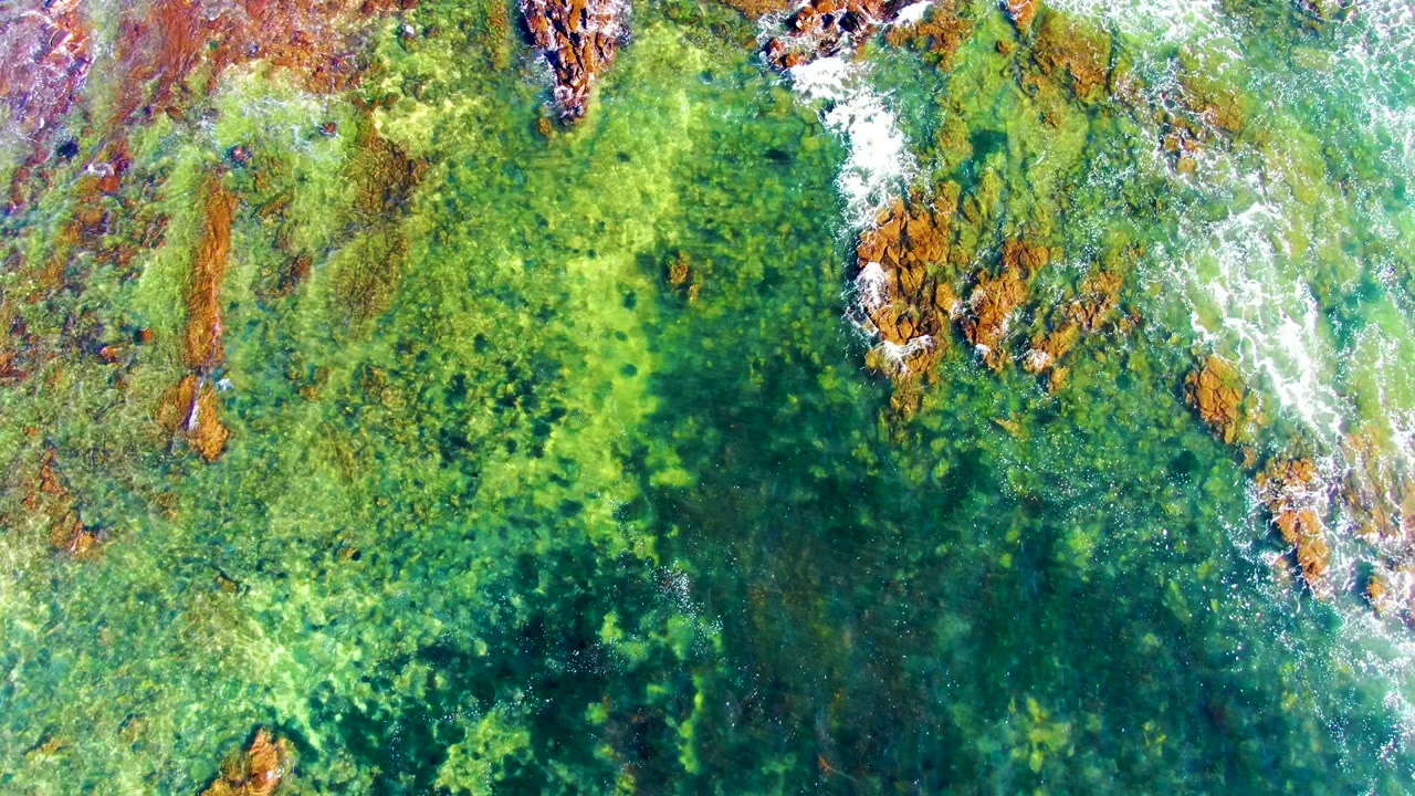 Clear shallow water over rocks with foam crossing the upper left