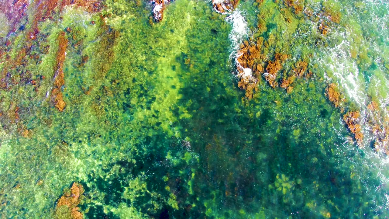 Top-down La Bocana shoreline water showing clustered rust rocks near the upper center, pale surf foam, green-blue water, and no visible people.