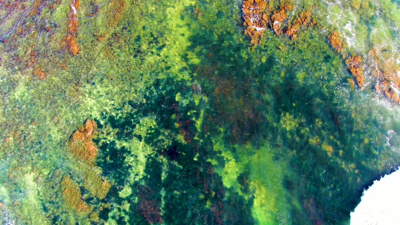 Overhead view of clear green and blue reef water at La Bocana, Baja California Sur, with rust-colored reef patches and a small area of white surf foam entering the lower right, no visible people.