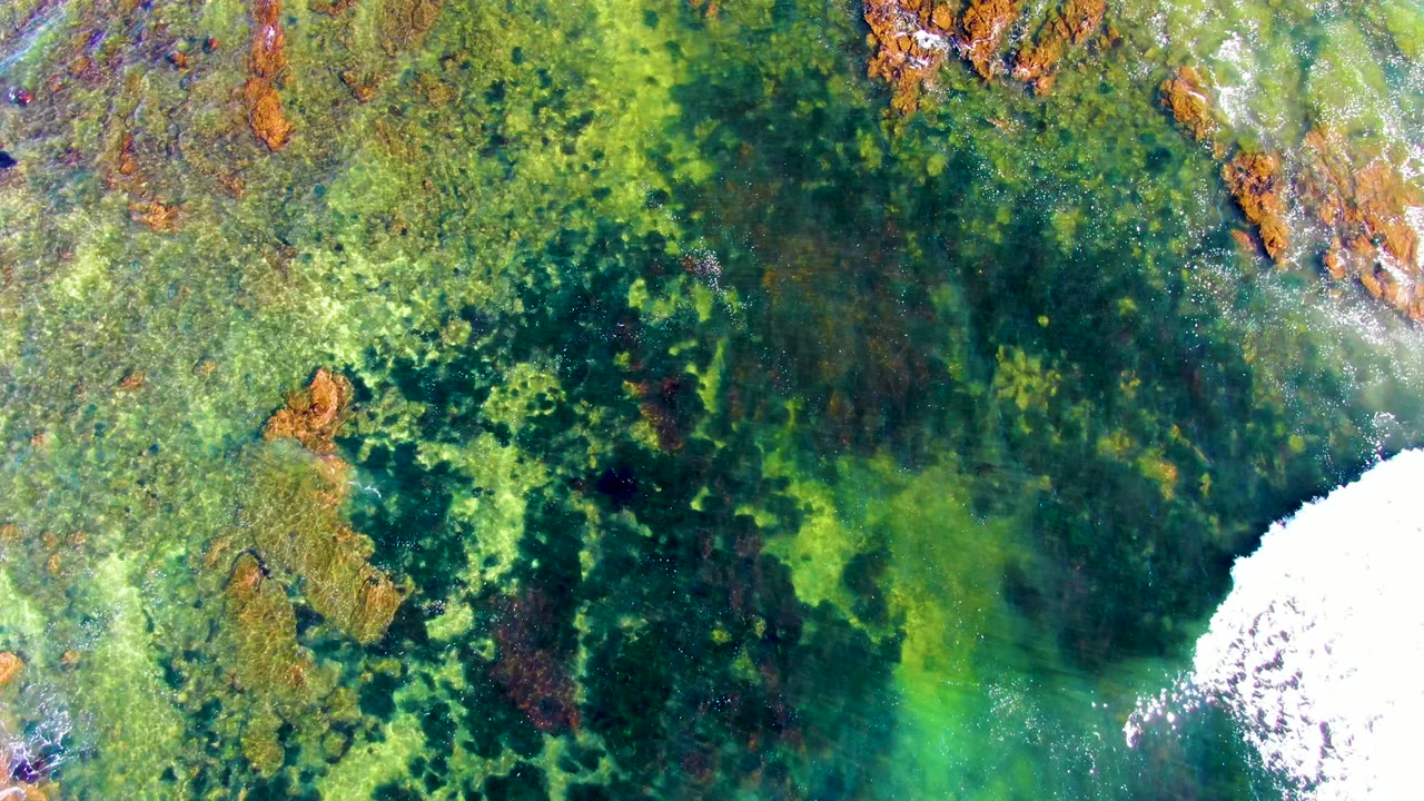 Clear shallow reef water with a larger white wave foam patch along the bottom edge.