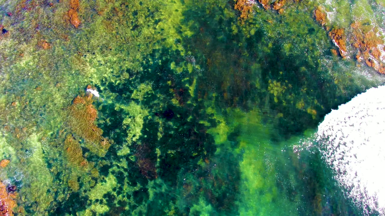 Top-down La Bocana coastal water shows a dense mix of dark green reef, bright green shallows, and rust-colored reef patches with only a small trace of white surf near the edge, no visible people.