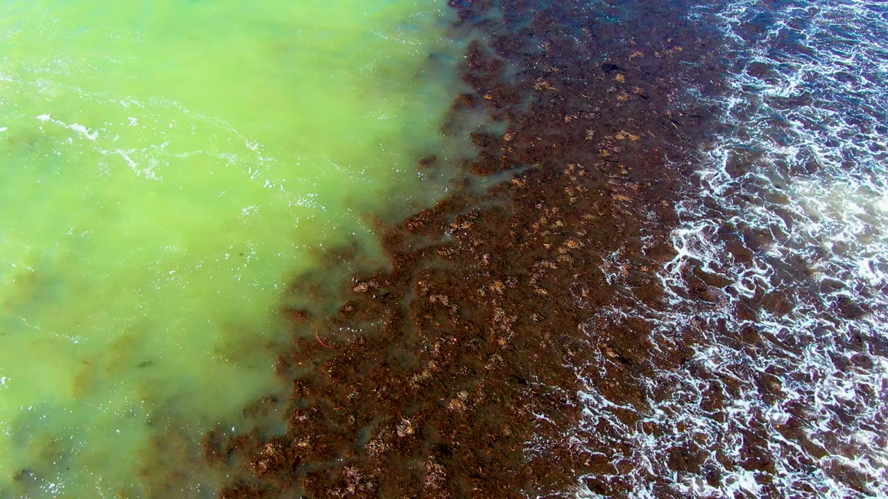 Overhead view at La Bocana, Baja California Sur, Mexico, with pale green water on the left meeting dark brown foamy water on the right and no visible people.