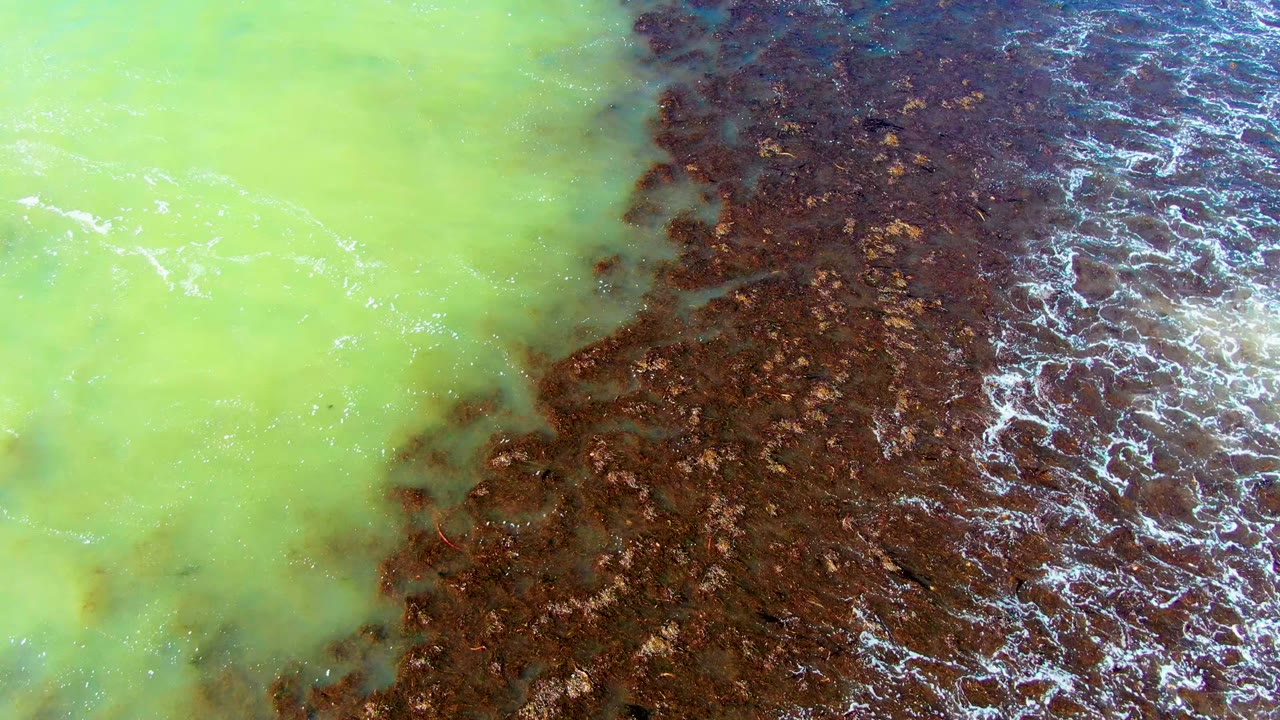 Two-toned water boundary with white foam on the brown side.