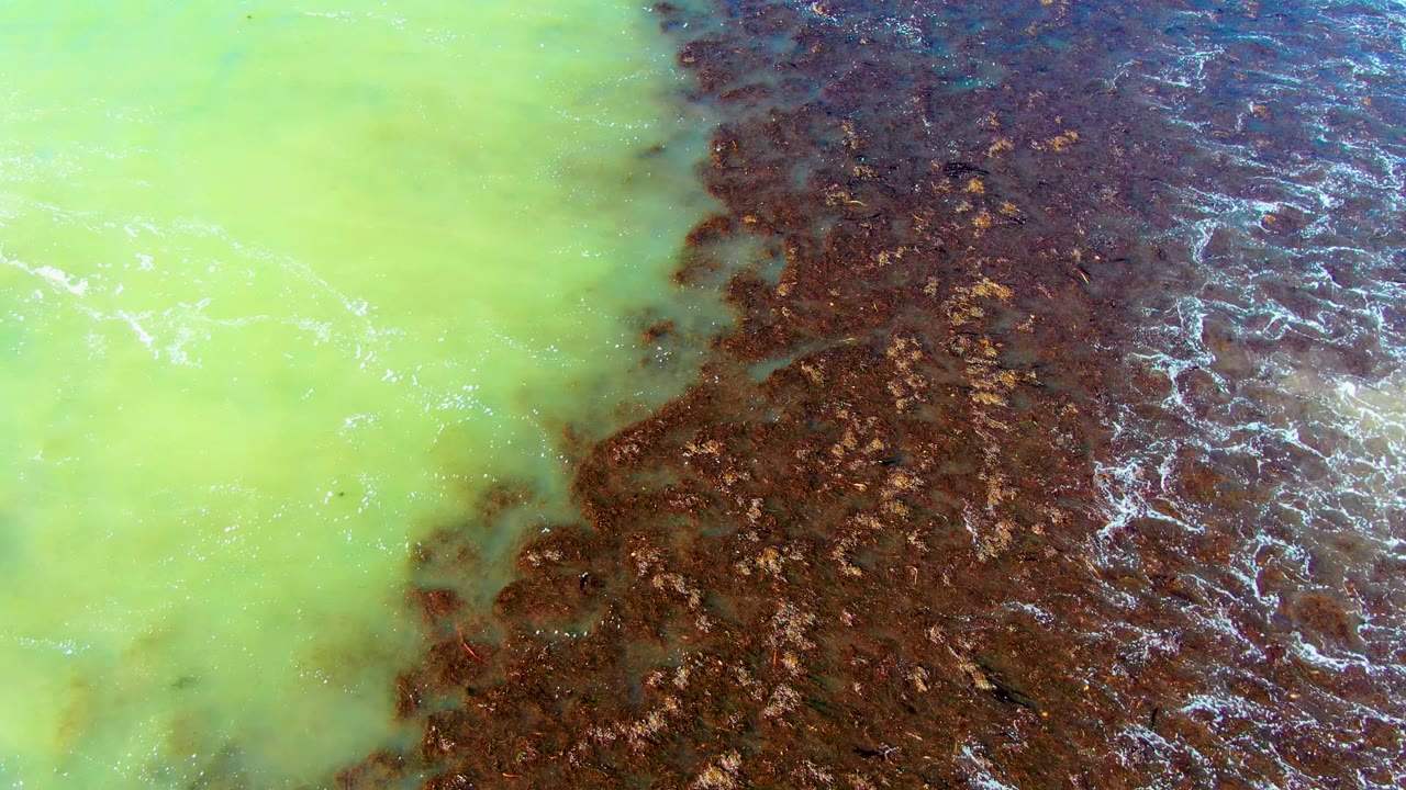 Top-down La Bocana view with pale green water occupying the left side, darker brown water and foam on the right, and no visible people.