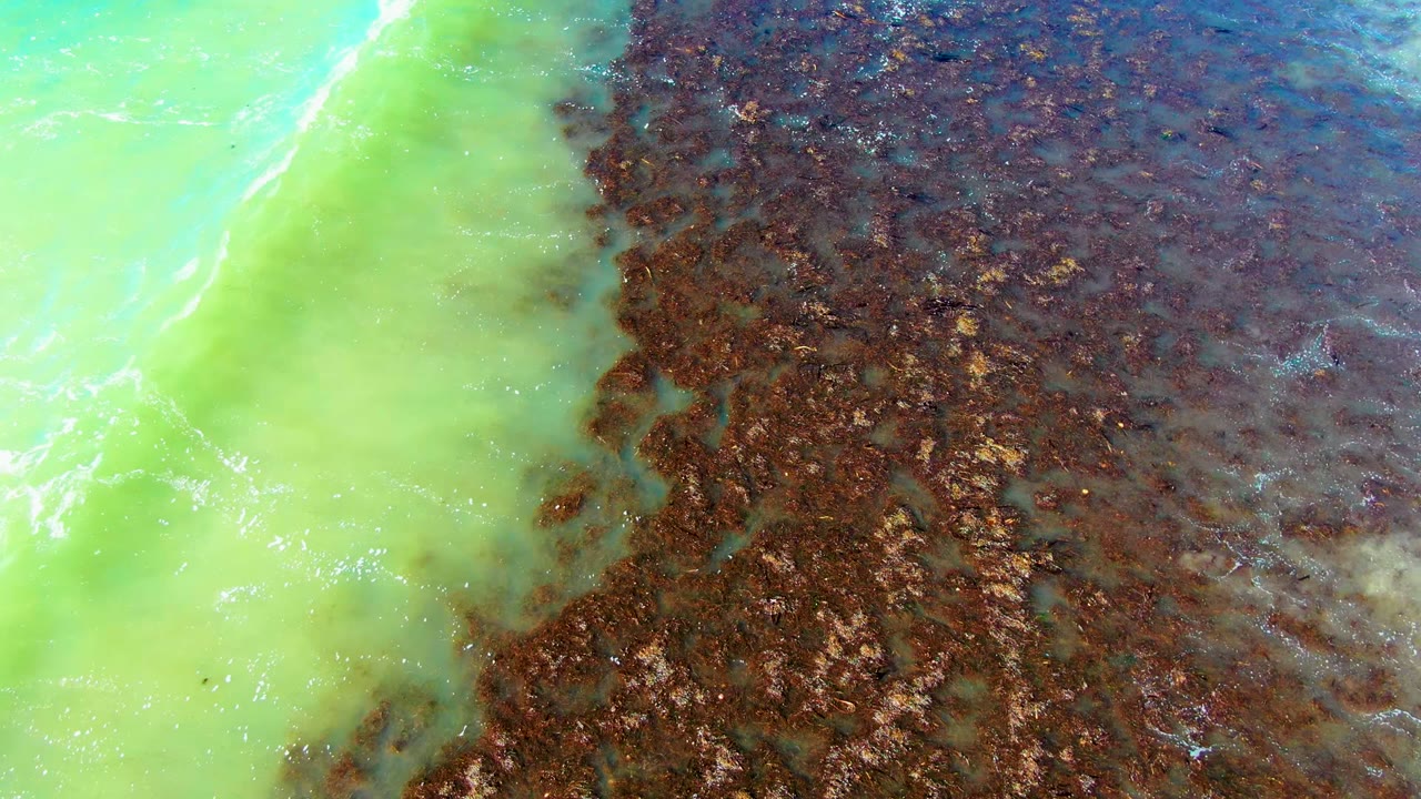 Top-down aerial frame from La Bocana shows bright green water on the left meeting dark brown shallow coastal texture on the right, with no visible people.