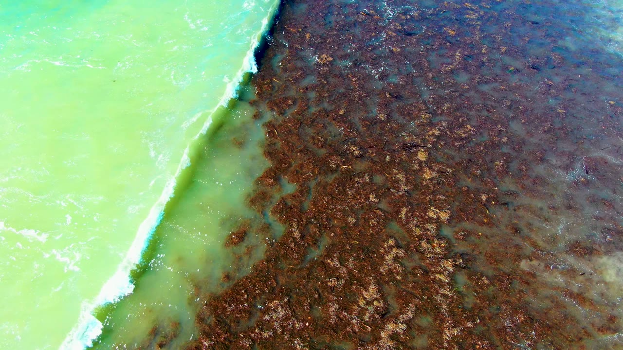 A white foam line cuts between green water and brown shallows.