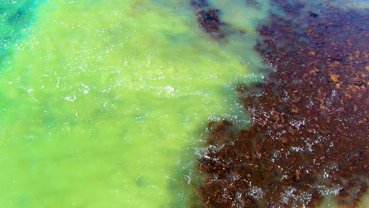 Pale green water mixing beside dark brown water