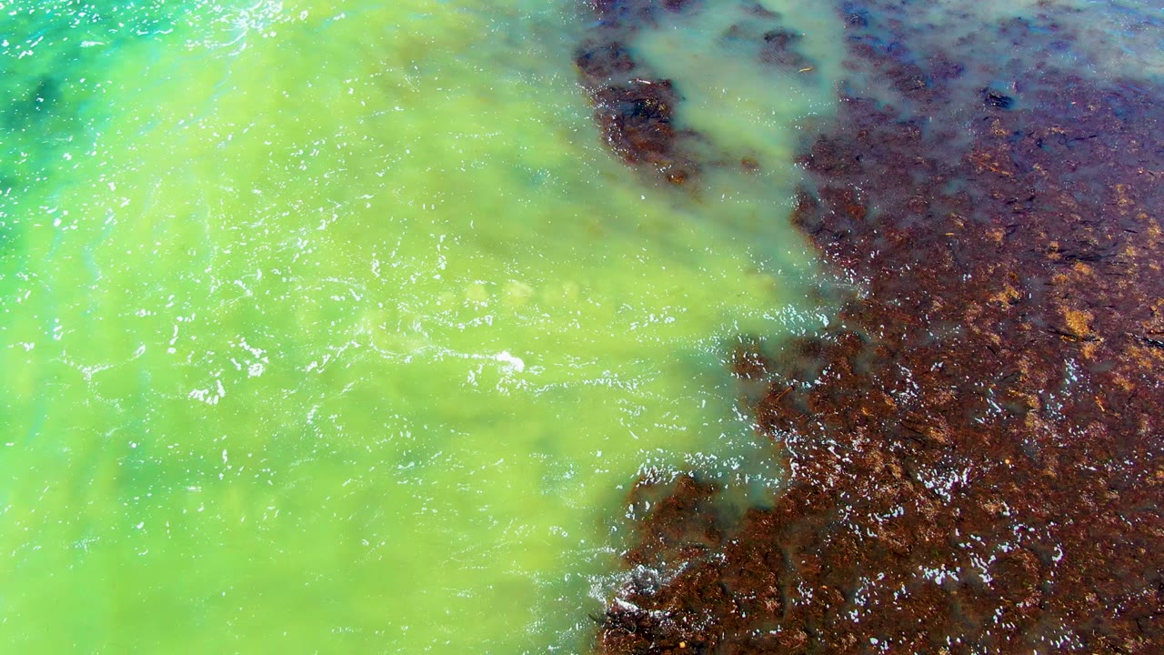 Top-down La Bocana water view with green water occupying most of the left side and dark brown water holding the right edge, with no visible people.