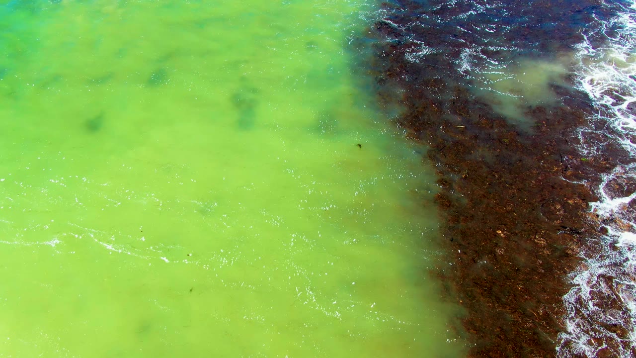 Overhead view in La Bocana, Baja California Sur, showing bright green water meeting a dark rocky shore along the right edge, with thin white foam and no visible people.