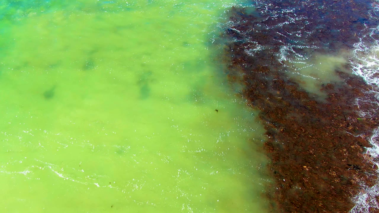 Green water and rocky coast viewed from directly above.