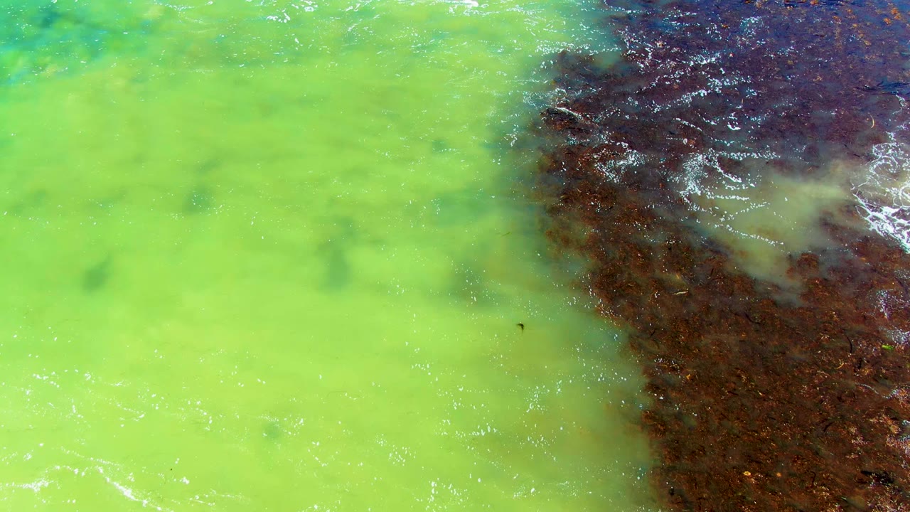 Overhead La Bocana shoreline frame with bright green water covering most of the image, a dark rocky band entering from the upper right, and fine white foam marks with no visible people.