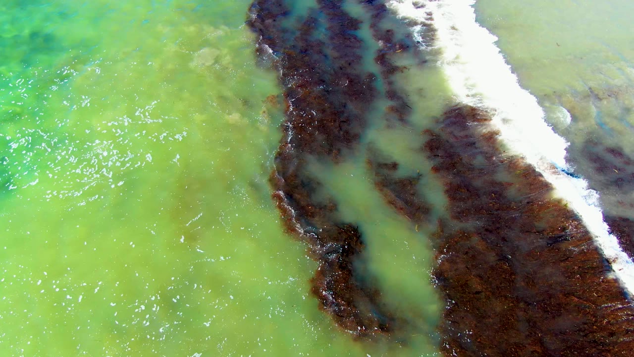 Overhead view of green water and a dark rocky shoreline strip at La Bocana, Baja California Sur, with white foam entering from the upper right and no visible people.