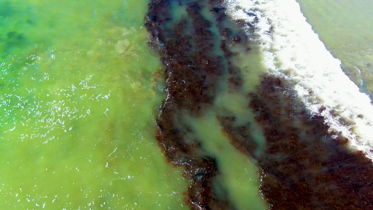 Foamy surf presses along a dark shoreline in green water.