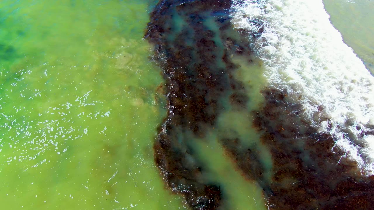 Top-down La Bocana coastal view with bright green water, a dark irregular rocky or algae-covered strip, and white foam curling across the upper right, with no visible people.