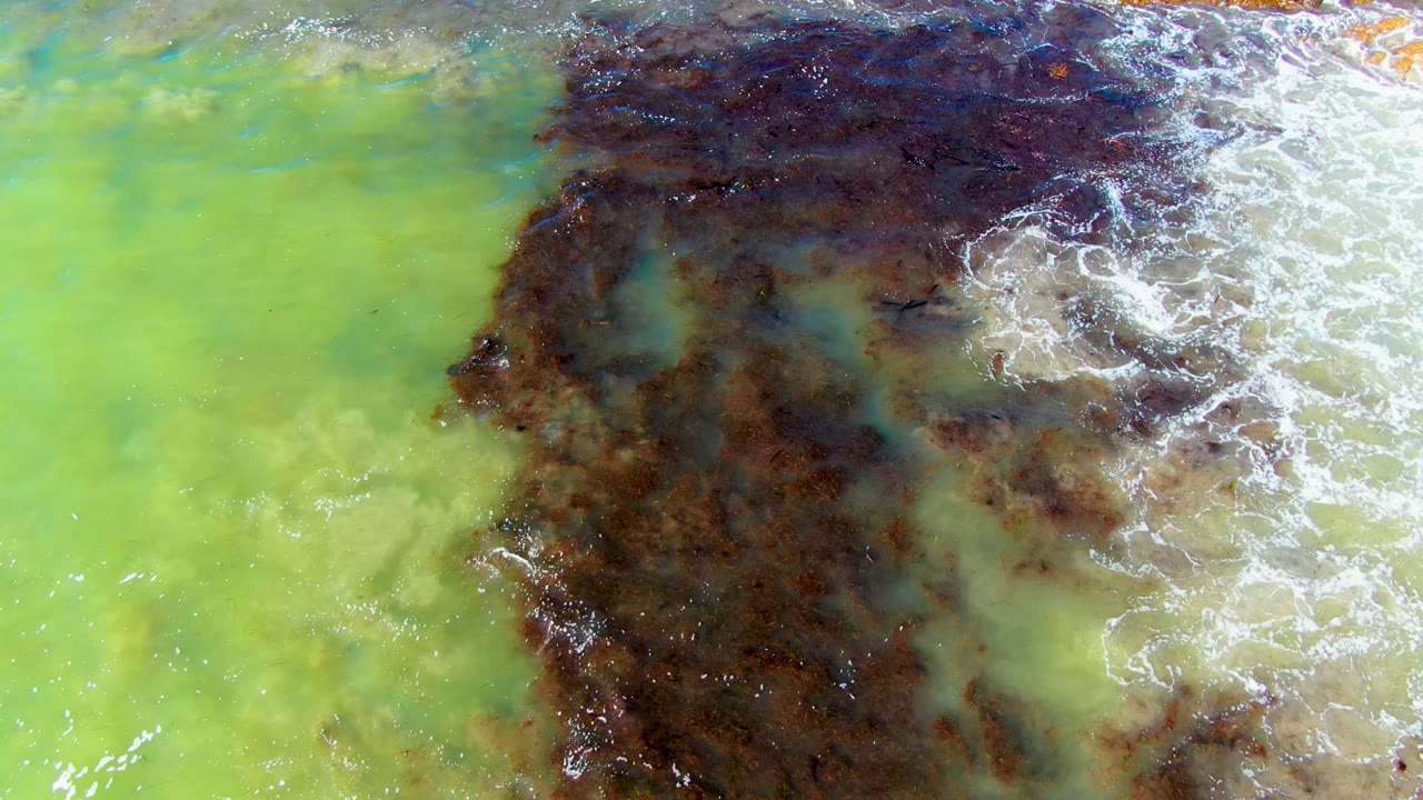 Overhead frame from La Bocana, Baja California Sur showing pale green water crossed by a large dark brown algae or sediment patch and small white foam, with no visible people.
