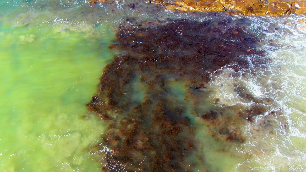 Brown algae or sediment spreads through green water near foamy wave edges.