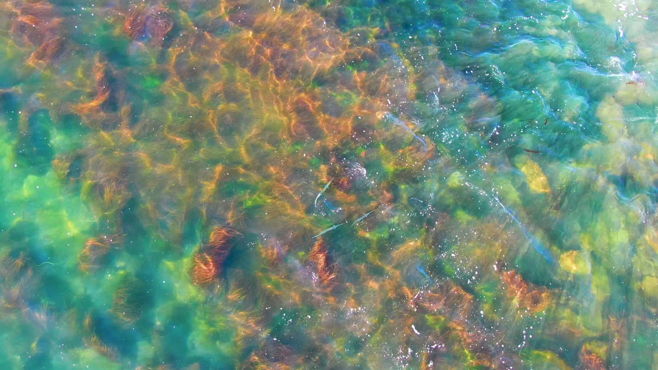 Overhead view of clear shallow water in La Bocana, Baja California Sur, with orange-brown underwater growth, pale stones, green-blue water, and no visible people.