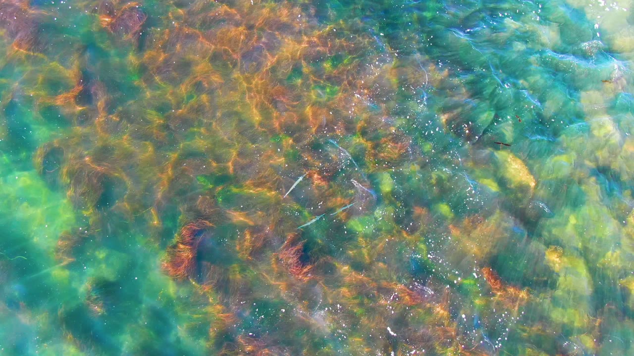 Ripples and sunlight patterns crossing green-blue shallow water and stones.