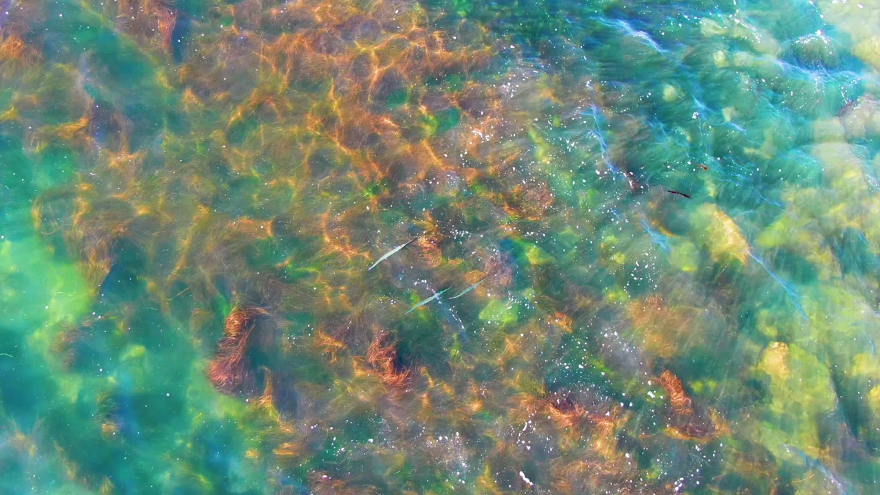 Overhead frame from La Bocana with more open green water around the stones, orange-brown underwater growth, bright glints, and no visible people.