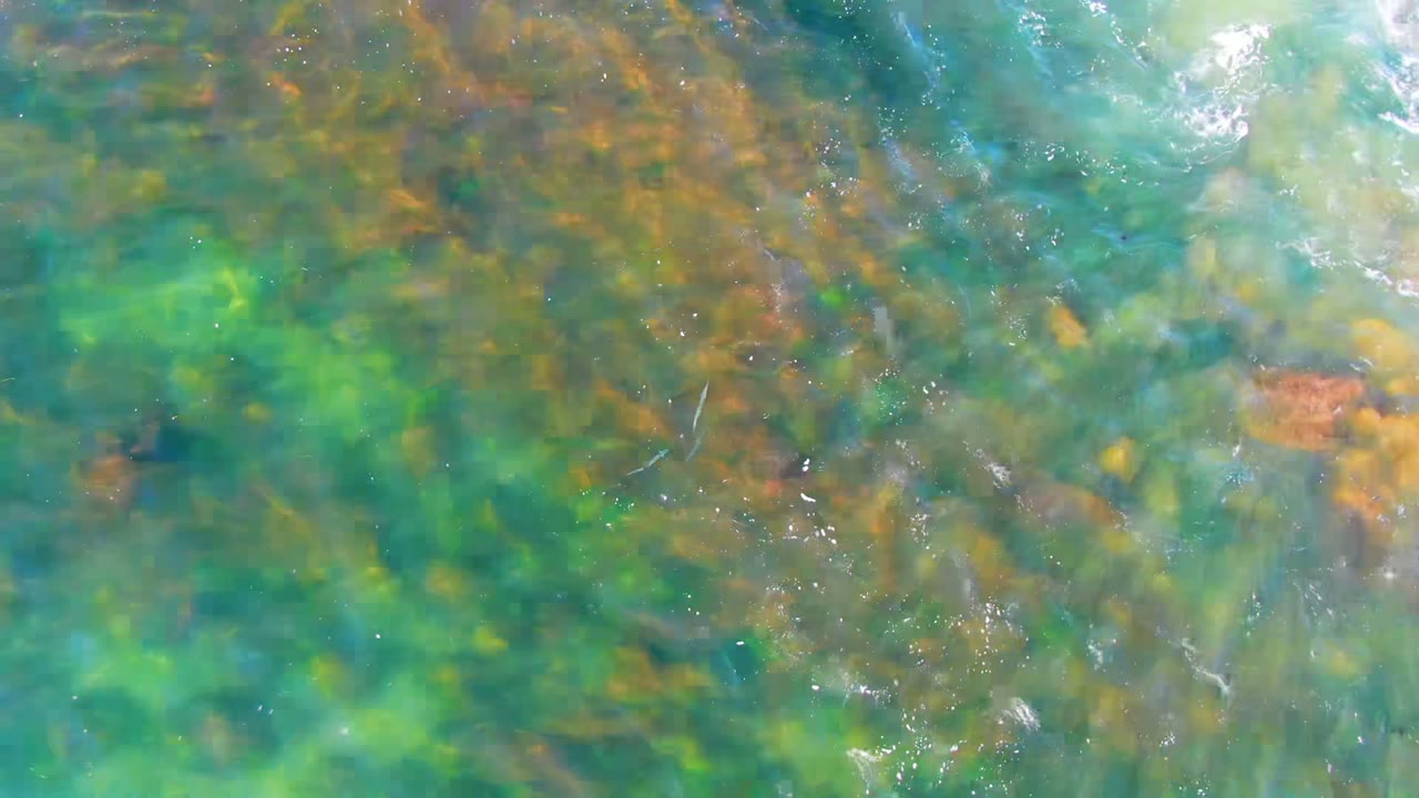 Clear turquoise and green water ripples over algae-covered rocks in La Bocana, Baja California Sur, with no visible people.