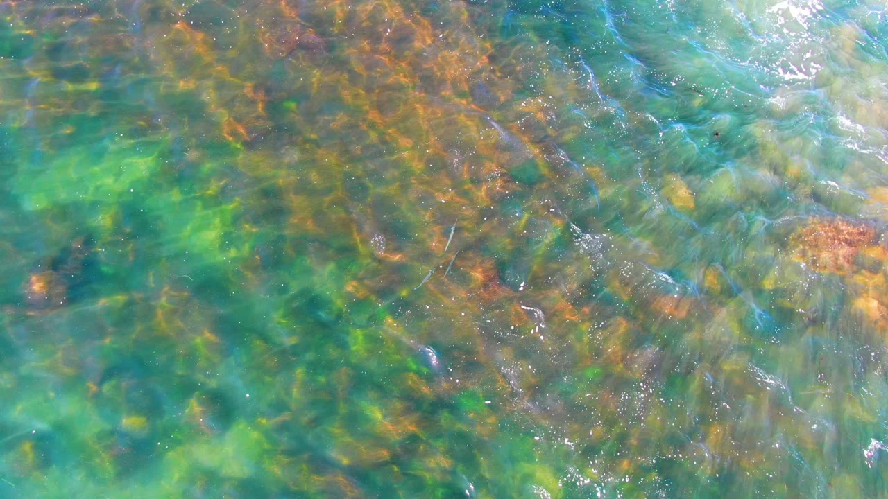 Sunlit shallow water with green algae and brown rocks below.