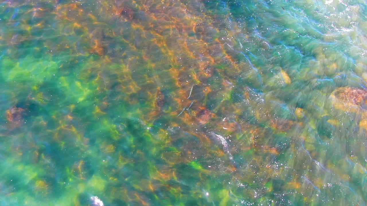 Turquoise water crosses a mottled bed of green and brown algae in La Bocana, Baja California Sur, with bright surface streaks and no visible people.