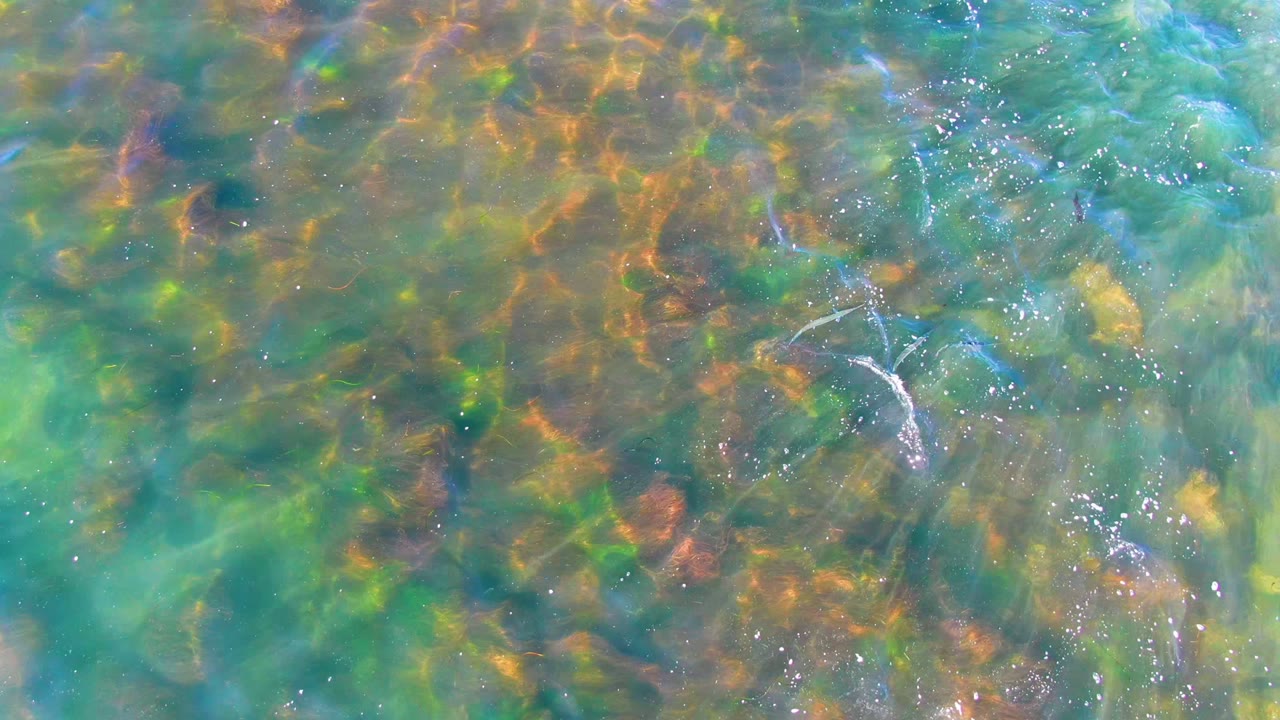At 0:02, the overhead view shows clear shallow water over mottled rocks, with small fish shapes near the surface pattern, scattered bubbles, and no visible people.