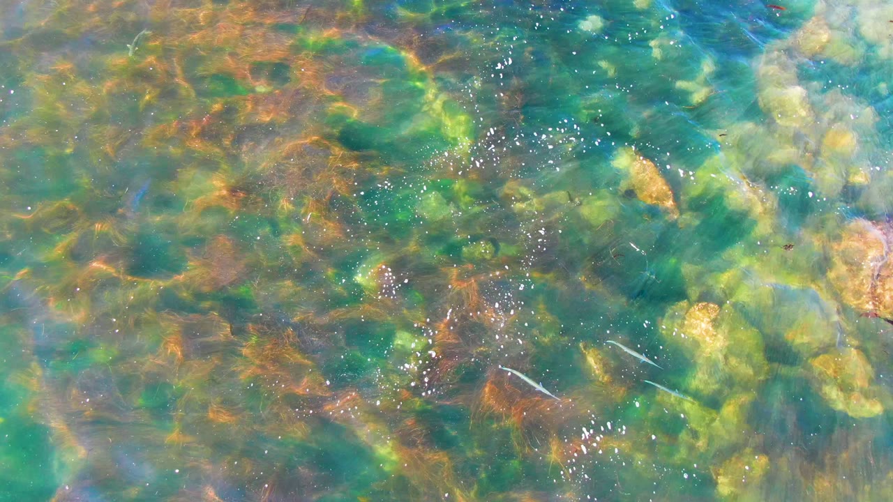 Shallow water ripples over pale rocks and orange underwater patches