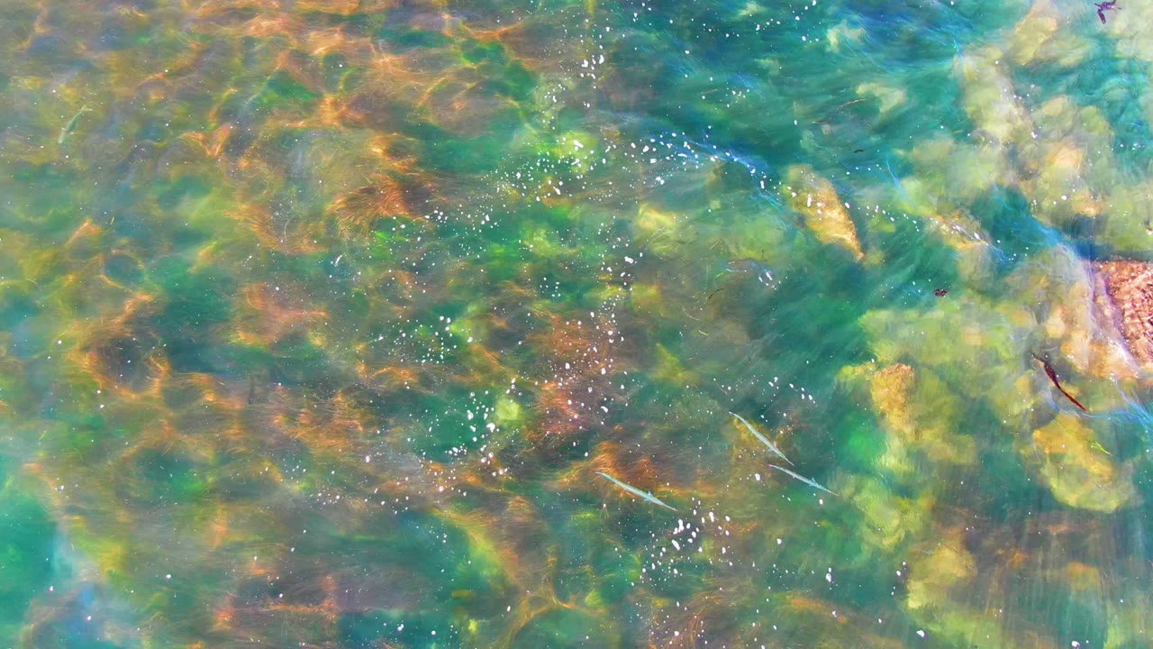Blue-green water over mixed yellow, green, and orange rocks in La Bocana, Baja California Sur, with clustered white foam specks near the center and no visible people.