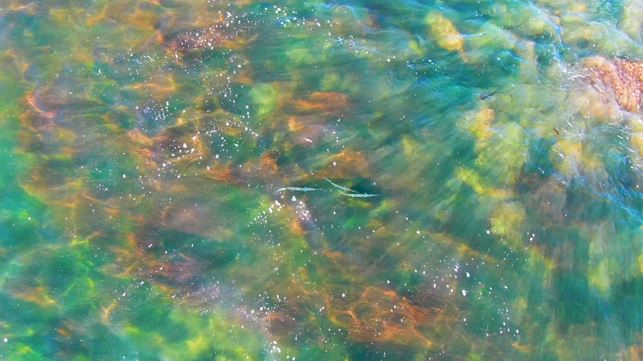 Overhead view of clear shallow water in La Bocana, Baja California Sur, with green-blue ripples, tan and brown seabed texture, small bubbles, and no visible people.