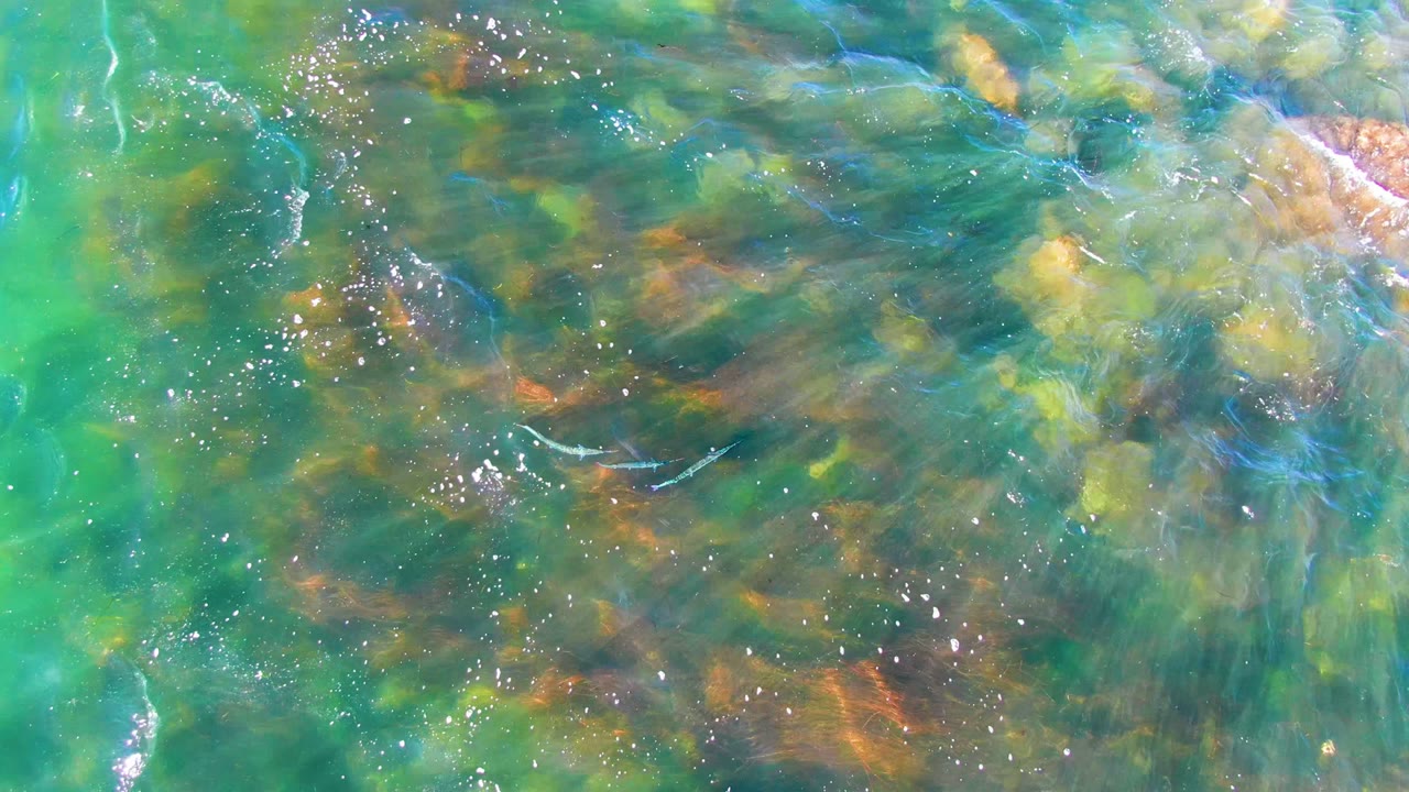 An overhead frame of La Bocana coastal water shows turquoise and green ripples crossing tan submerged rocks, with white surface flecks and no visible people.