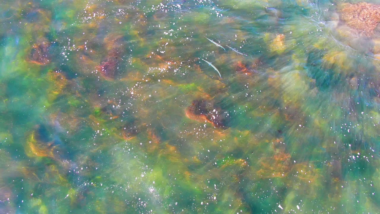 Clear shallow water flows over green, blue, brown, and rust colored rocks and moss in La Bocana, Baja California Sur, with no visible people.