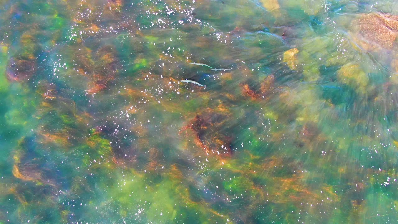 Bright reflected highlights scatter over green and brown submerged rock patterns in the shallow water at La Bocana, Baja California Sur, with no visible people.