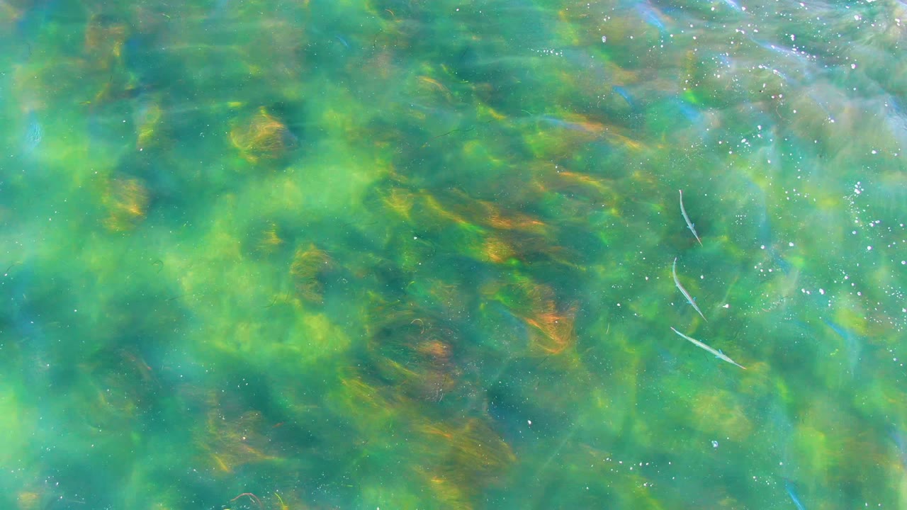 Overhead view of clear green-blue shallow water over rocks and algae-toned patches in La Bocana, Baja California Sur, with no visible people.